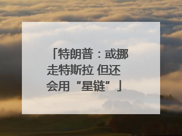 特朗普：或挪走特斯拉 但还会用“星链”