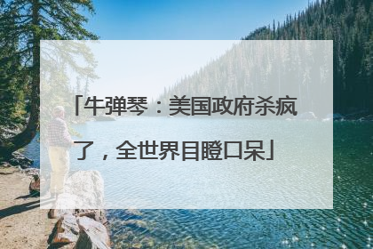 牛弹琴：美国政府杀疯了，全世界目瞪口呆