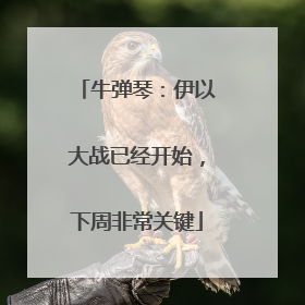 牛弹琴：伊以大战已经开始，下周非常关键