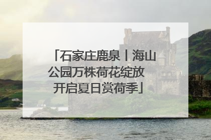 石家庄鹿泉丨海山公园万株荷花绽放 开启夏日赏荷季