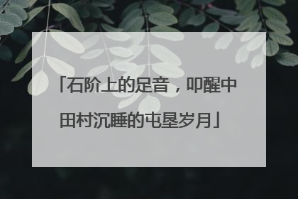 石阶上的足音，叩醒中田村沉睡的屯垦岁月