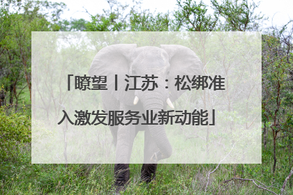 瞭望丨江苏：松绑准入激发服务业新动能