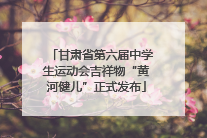 甘肃省第六届中学生运动会吉祥物“黄河健儿”正式发布