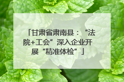 甘肃省肃南县：“法院+工会”深入企业开展“精准体检”
