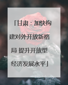 甘肃：加快构建对外开放新格局 提升开放型经济发展水平