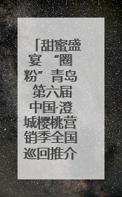 甜蜜盛宴 “圈粉”青岛 第六届中国·澄城樱桃营销季全国巡回推介会（青岛站）成功举办