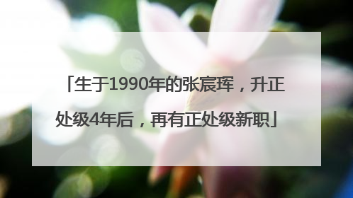 生于1990年的张宸珲，升正处级4年后，再有正处级新职