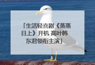 生活轻喜剧《蒸蒸日上》开机 高叶韩东君领衔主演