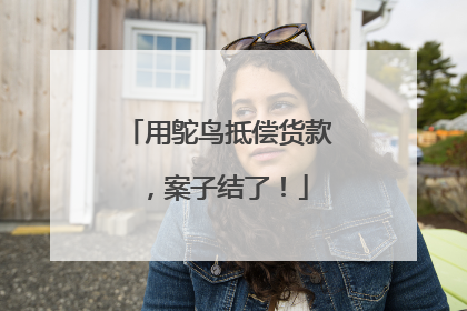 用鸵鸟抵偿货款，案子结了！