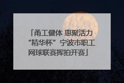 甬工健体 惠聚活力“精华杯”宁波市职工网球联赛挥拍开赛