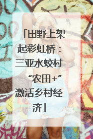 田野上架起彩虹桥：三亚水蛟村“农田+”激活乡村经济