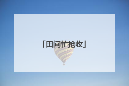 田间忙抢收