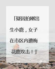 疑因拍刚出生小鹿，女子在市区内遭梅花鹿攻击！