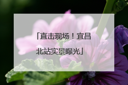 直击现场！宜昌北站实景曝光