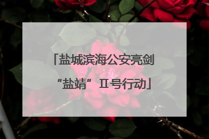 盐城滨海公安亮剑“盐靖”Ⅱ号行动