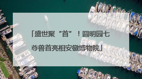 盛世聚“首”！圆明园七尊兽首亮相安徽博物院
