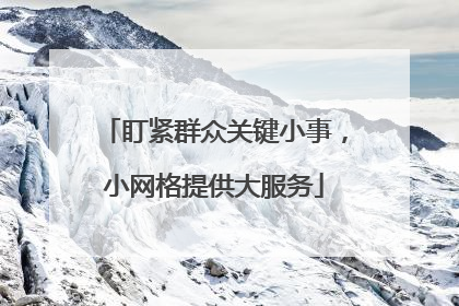 盯紧群众关键小事，小网格提供大服务