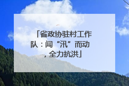 省政协驻村工作队：闻“汛”而动，全力抗洪