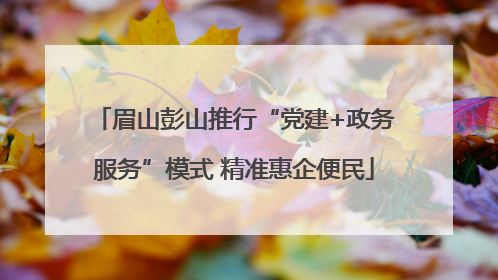 眉山彭山推行“党建+政务服务”模式 精准惠企便民