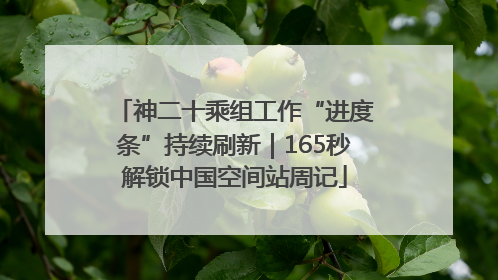 神二十乘组工作“进度条”持续刷新｜165秒解锁中国空间站周记