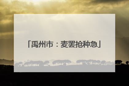 禹州市：麦罢抢种急