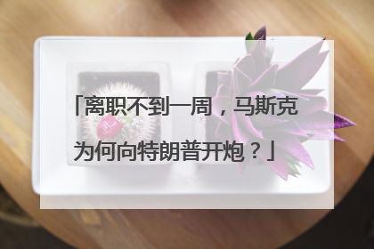 离职不到一周，马斯克为何向特朗普开炮？