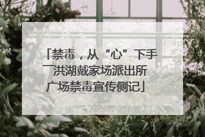 禁毒，从“心”下手――洪湖戴家场派出所广场禁毒宣传侧记