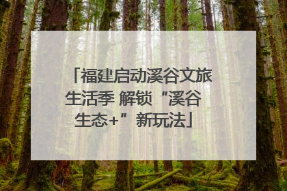 福建启动溪谷文旅生活季 解锁“溪谷生态+”新玩法