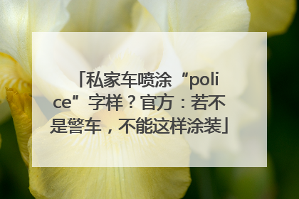 私家车喷涂“police”字样？官方：若不是警车，不能这样涂装