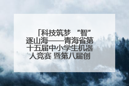 科技筑梦 “智”逐山海——青海省第十五届中小学生机器人竞赛 暨第八届创新设计大赛见闻