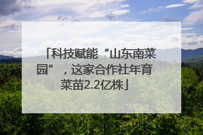 科技赋能“山东南菜园”，这家合作社年育菜苗2.2亿株