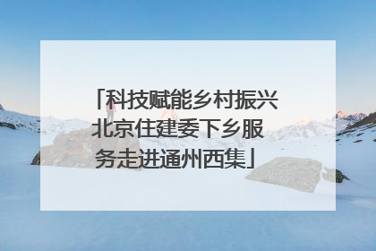 科技赋能乡村振兴 北京住建委下乡服务走进通州西集