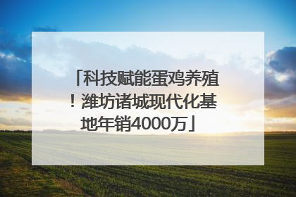 科技赋能蛋鸡养殖！潍坊诸城现代化基地年销4000万
