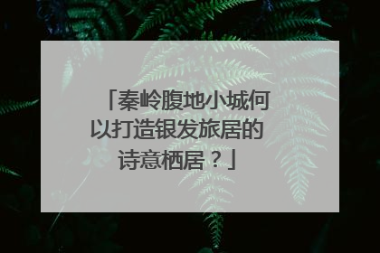 秦岭腹地小城何以打造银发旅居的诗意栖居？
