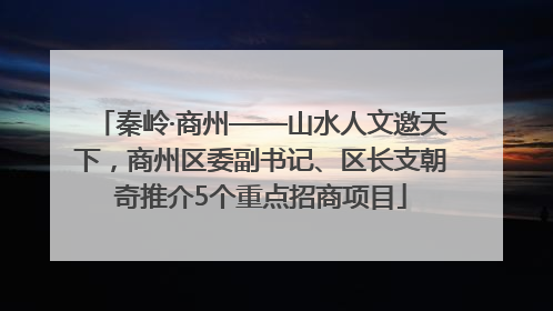 秦岭·商州——山水人文邀天下，商州区委副书记、区长支朝奇推介5个重点招商项目