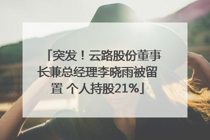 突发！云路股份董事长兼总经理李晓雨被留置 个人持股21%