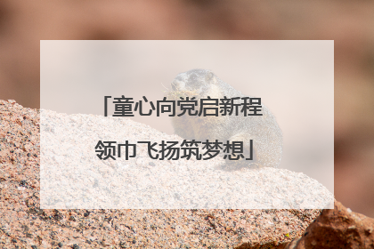 童心向党启新程 领巾飞扬筑梦想