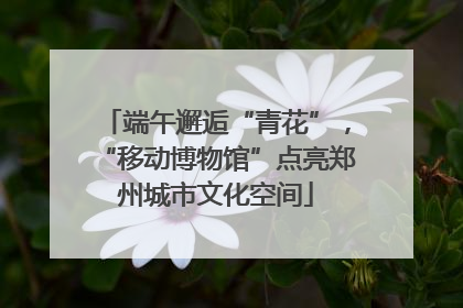 端午邂逅“青花”，“移动博物馆”点亮郑州城市文化空间