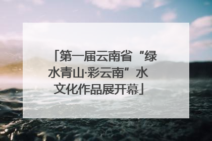 第一届云南省“绿水青山·彩云南”水文化作品展开幕