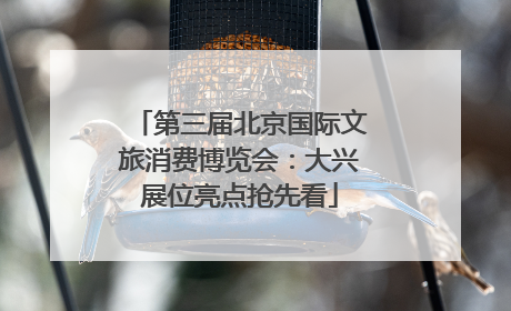 第三届北京国际文旅消费博览会：大兴展位亮点抢先看