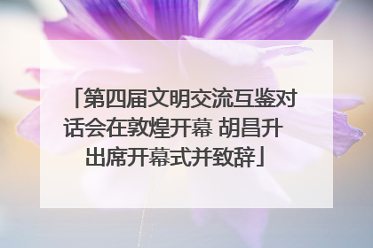 第四届文明交流互鉴对话会在敦煌开幕 胡昌升出席开幕式并致辞