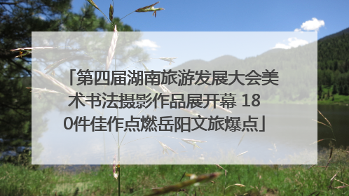 第四届湖南旅游发展大会美术书法摄影作品展开幕 180件佳作点燃岳阳文旅爆点