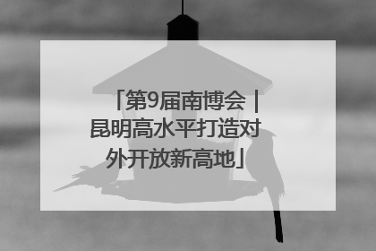 第9届南博会｜昆明高水平打造对外开放新高地