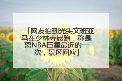 网友拍到光头文班亚马在少林寺晨跑，称是离NBA巨星最近的一次，景区回应