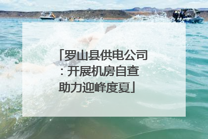 罗山县供电公司：开展机房自查 助力迎峰度夏
