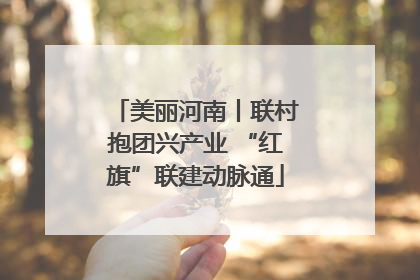 美丽河南丨联村抱团兴产业 “红旗”联建动脉通