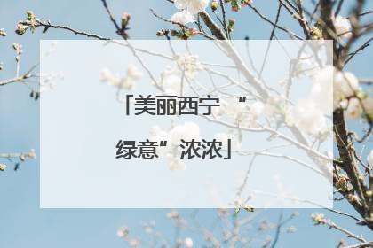 美丽西宁 “绿意”浓浓