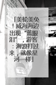 美轮美奂！威海海边出现“蓝眼泪”，游客：海浪打过来，就像星河一样
