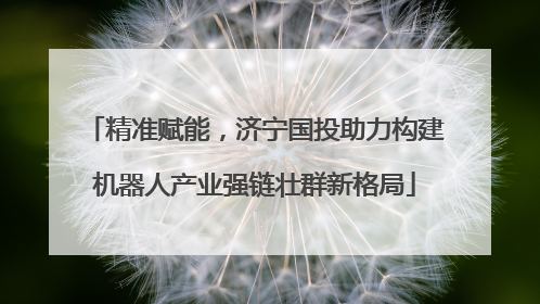 精准赋能，济宁国投助力构建机器人产业强链壮群新格局