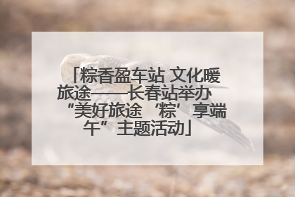 粽香盈车站 文化暖旅途——长春站举办 “美好旅途‘粽’享端午”主题活动